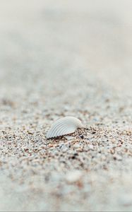 Preview wallpaper shell, beach, sand