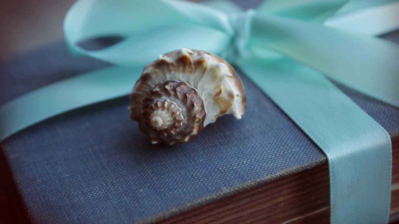 Wallpaper shell, book, old, gift, ribbon, bow