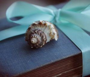 Preview wallpaper shell, book, old, gift, ribbon, bow