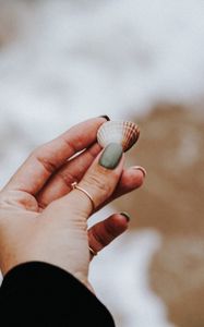 Preview wallpaper shell, hand, ring, beach