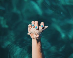 Preview wallpaper shell, hand, water, fingers