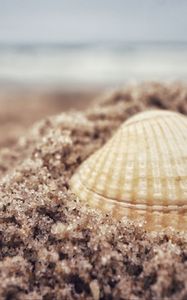 Preview wallpaper shell, sand, beach, macro, granules