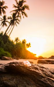 Preview wallpaper shell, stone, rocks, beach, sunset