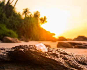 Preview wallpaper shell, stone, rocks, beach, sunset