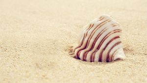 Preview wallpaper shell, striped, sand