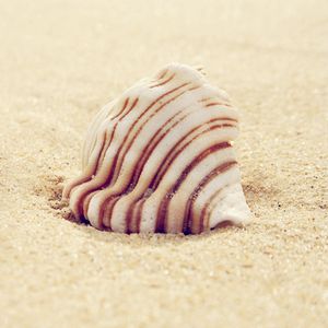 Preview wallpaper shell, striped, sand