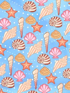 Preview wallpaper shells, conch, pattern, starfish
