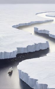 Preview wallpaper ship, ice floes, bird, art