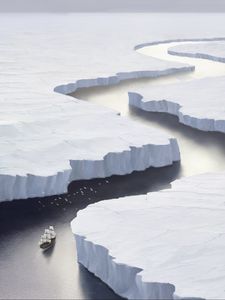 Preview wallpaper ship, ice floes, bird, art