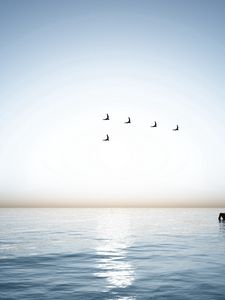 Preview wallpaper ship, sea, birds, wedge, weeds