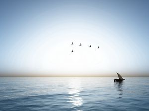 Preview wallpaper ship, sea, birds, wedge, weeds