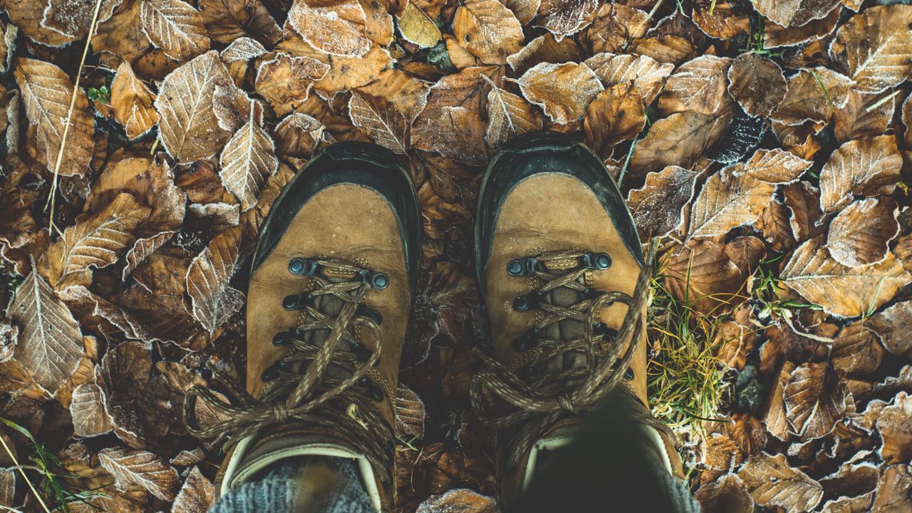 Wallpaper shoes, autumn, legs, foliage