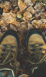 Preview wallpaper shoes, autumn, legs, foliage