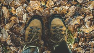 Preview wallpaper shoes, autumn, legs, foliage