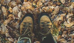 Preview wallpaper shoes, autumn, legs, foliage