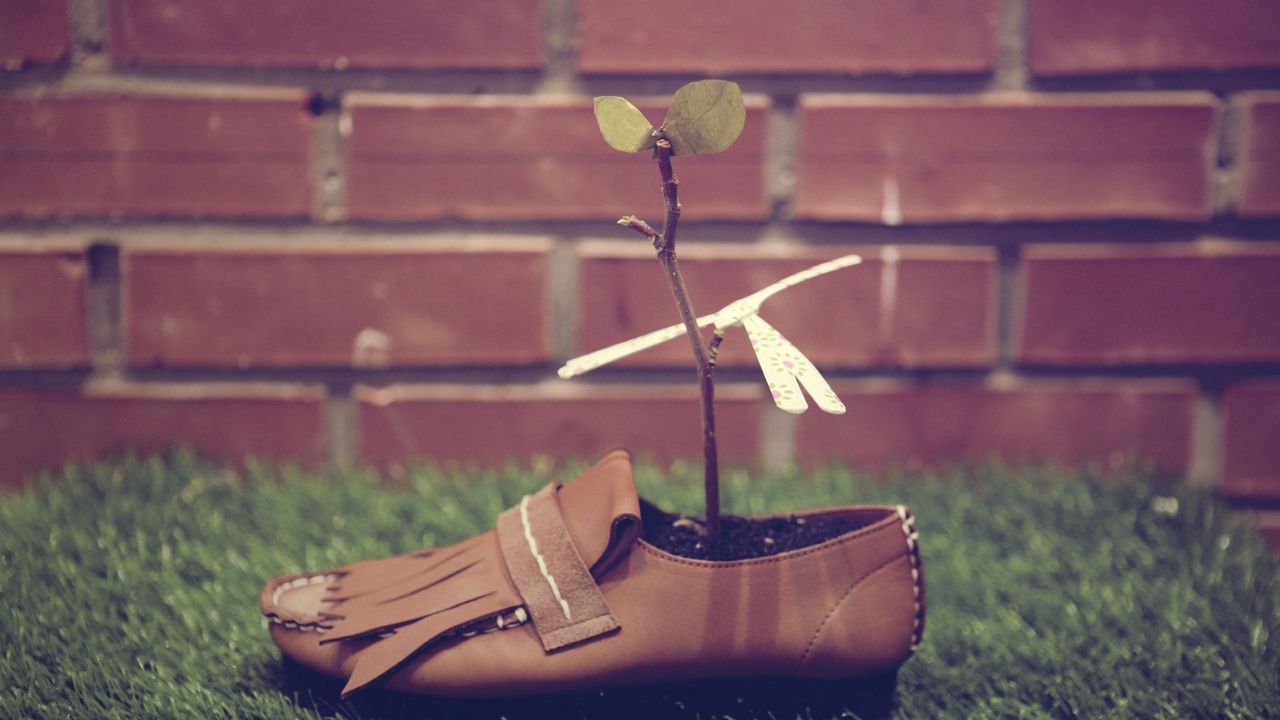 Wallpaper shoes, plants, grasses, wall