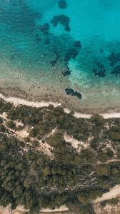 Preview wallpaper shore, beach, aerial view, trees, stones
