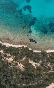 Preview wallpaper shore, beach, aerial view, trees, stones