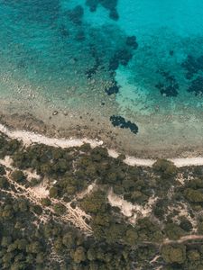 Preview wallpaper shore, beach, aerial view, trees, stones