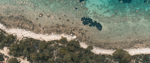 Preview wallpaper shore, beach, aerial view, trees, stones