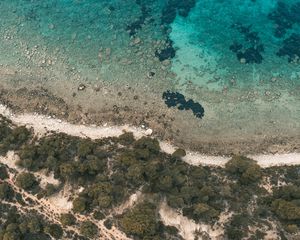 Preview wallpaper shore, beach, aerial view, trees, stones