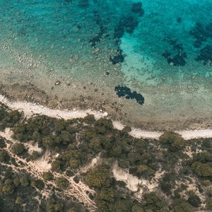 Preview wallpaper shore, beach, aerial view, trees, stones