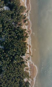 Preview wallpaper shore, beach, aerial view, water, forest, sand