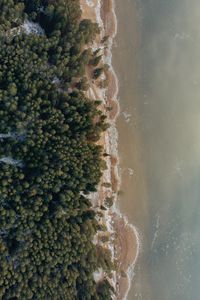 Preview wallpaper shore, beach, aerial view, water, forest, sand