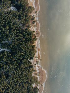 Preview wallpaper shore, beach, aerial view, water, forest, sand