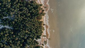 Preview wallpaper shore, beach, aerial view, water, forest, sand