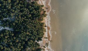 Preview wallpaper shore, beach, aerial view, water, forest, sand