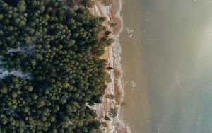 Preview wallpaper shore, beach, aerial view, water, forest, sand