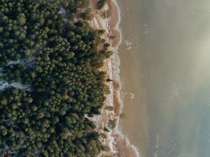 Preview wallpaper shore, beach, aerial view, water, forest, sand