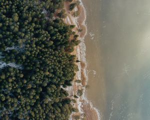 Preview wallpaper shore, beach, aerial view, water, forest, sand