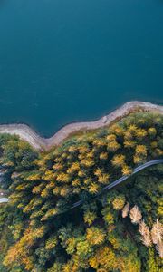 Preview wallpaper shore, forest, water, aerial view