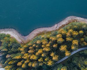 Preview wallpaper shore, forest, water, aerial view