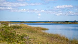 Preview wallpaper shore, grass, river, nature, landscape