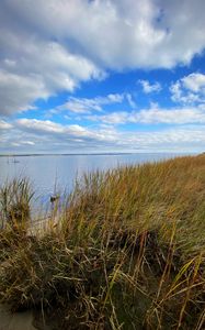 Preview wallpaper shore, grass, sea, landscape, nature