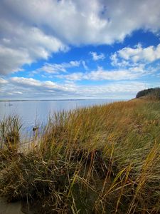 Preview wallpaper shore, grass, sea, landscape, nature