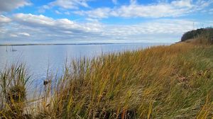 Preview wallpaper shore, grass, sea, landscape, nature