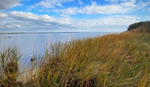 Preview wallpaper shore, grass, sea, landscape, nature