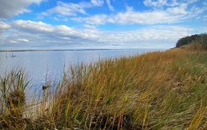 Preview wallpaper shore, grass, sea, landscape, nature