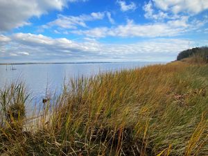 Preview wallpaper shore, grass, sea, landscape, nature