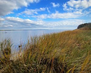 Preview wallpaper shore, grass, sea, landscape, nature