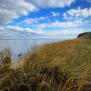 Preview wallpaper shore, grass, sea, landscape, nature