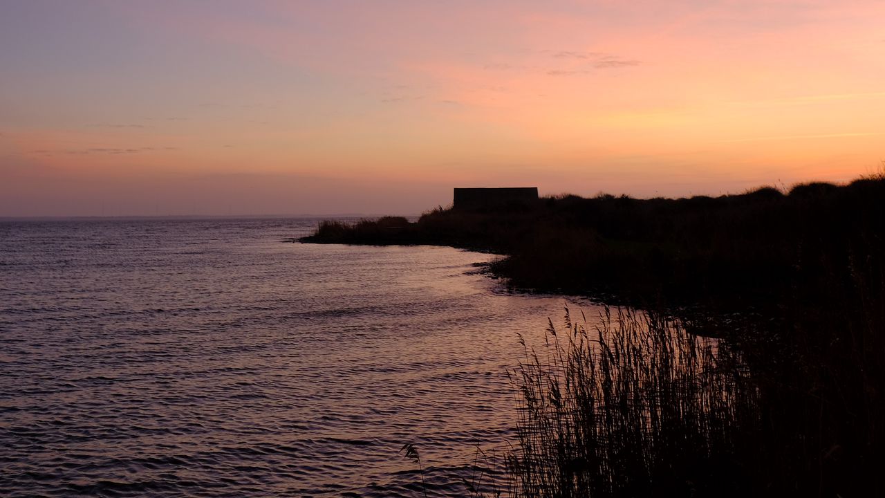 Wallpaper shore, grass, sea, twilight, dark