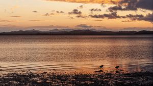 Preview wallpaper shore, lake, birds, mountains, twilight