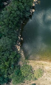 Preview wallpaper shore, pond, trees, aerial view