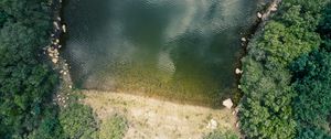 Preview wallpaper shore, pond, trees, aerial view