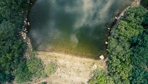 Preview wallpaper shore, pond, trees, aerial view